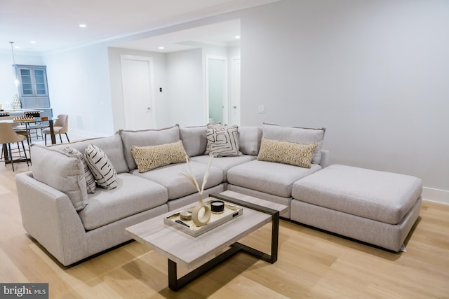 living room featuring light hardwood / wood-style floors