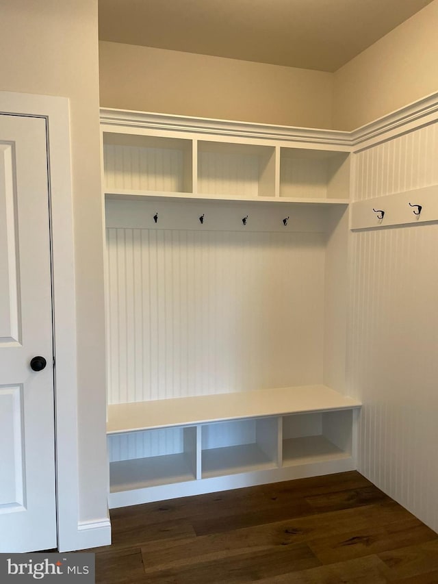 mudroom with dark wood-type flooring