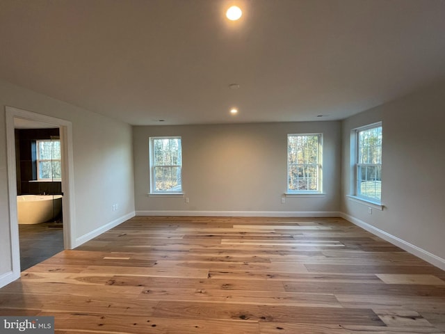 unfurnished room with light hardwood / wood-style floors and a wealth of natural light