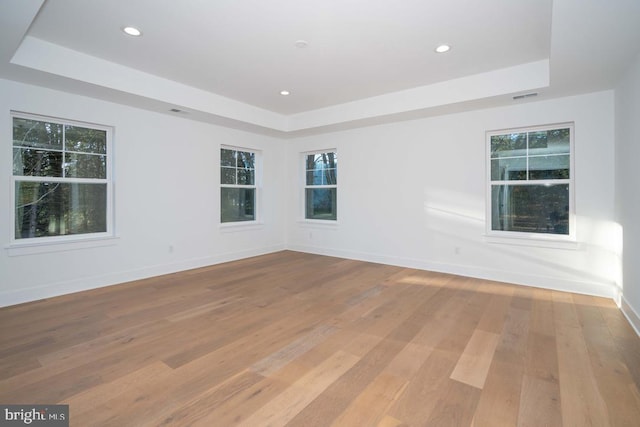 unfurnished room with light hardwood / wood-style floors, a raised ceiling, and a wealth of natural light