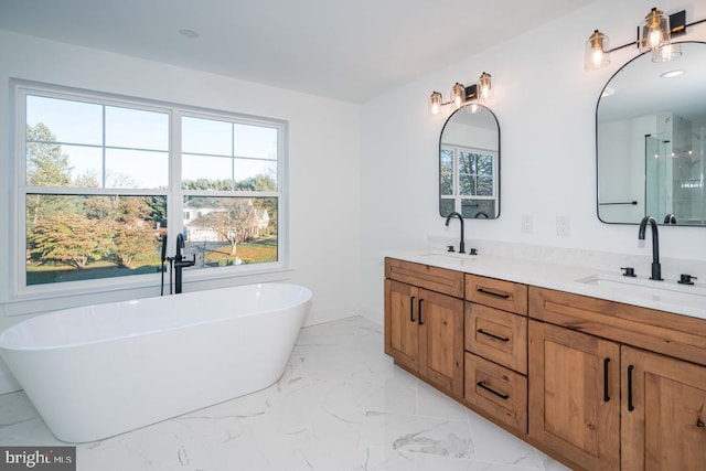 bathroom featuring vanity, plenty of natural light, and a bathing tub