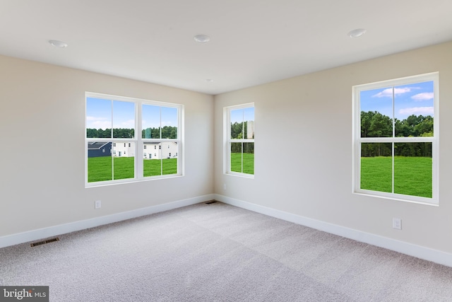 empty room featuring light carpet and plenty of natural light