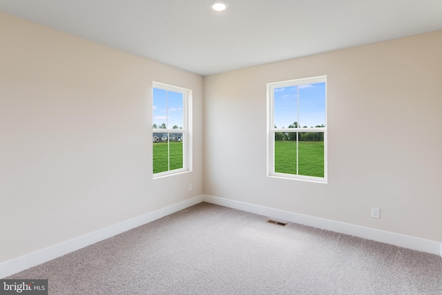 carpeted empty room featuring a healthy amount of sunlight