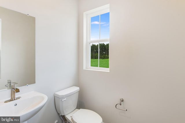 bathroom with a healthy amount of sunlight, toilet, and sink