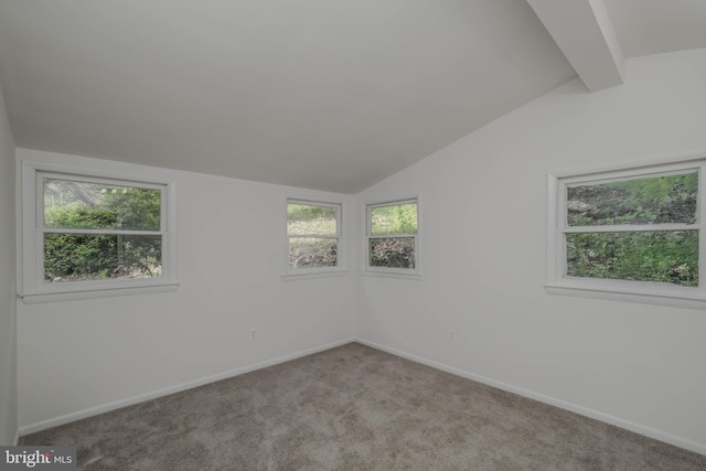 unfurnished room with light carpet, vaulted ceiling with beams, and a healthy amount of sunlight