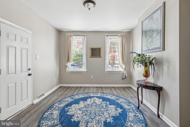 foyer with dark wood-type flooring