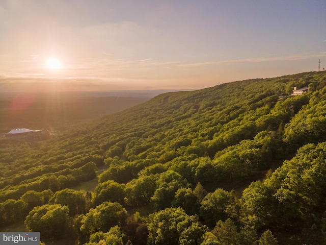 property view of mountains featuring a wooded view