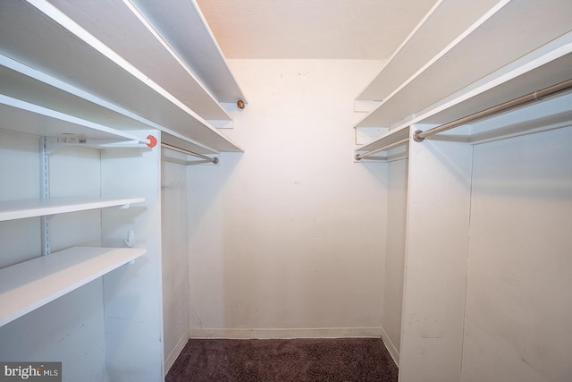 walk in closet with carpet flooring