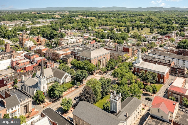 drone / aerial view