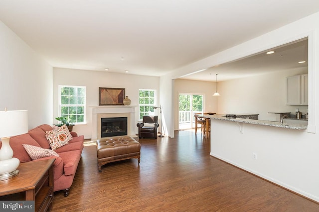 living room with dark hardwood / wood-style floors