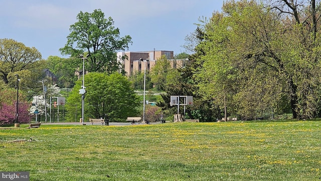 view of property's community with a lawn