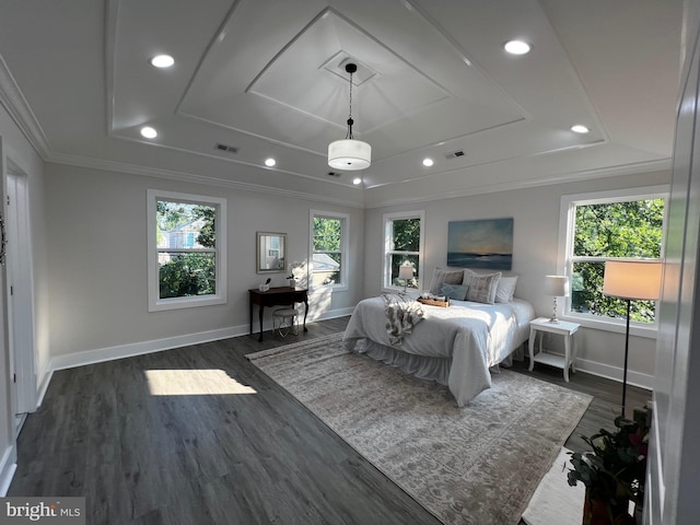 bedroom featuring a raised ceiling, multiple windows, crown molding, and dark wood-type flooring