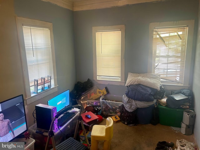 playroom featuring ornamental molding