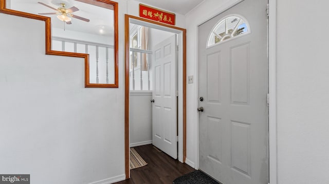 entryway featuring ceiling fan and dark hardwood / wood-style flooring