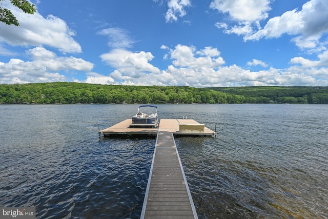 view of dock featuring a water view