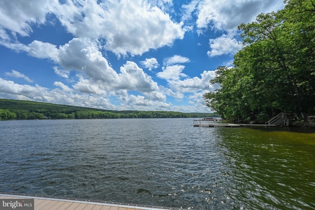 water view featuring a dock