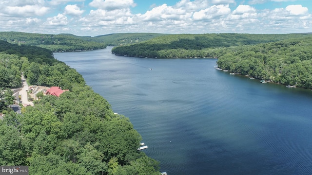 drone / aerial view with a water view