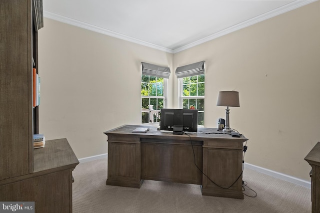 home office featuring light colored carpet and ornamental molding