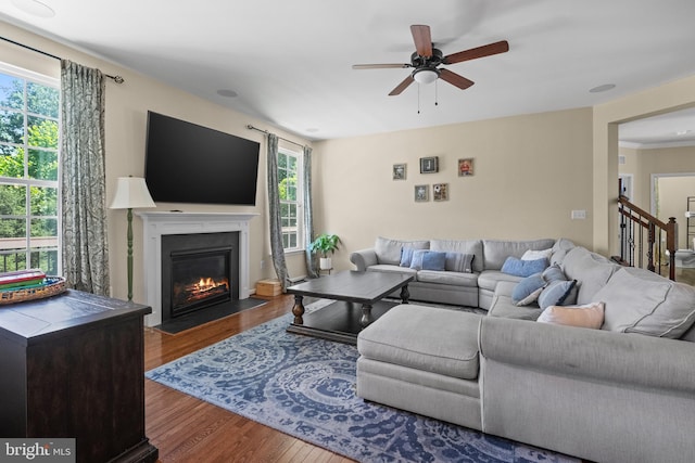 living room with hardwood / wood-style floors and ceiling fan