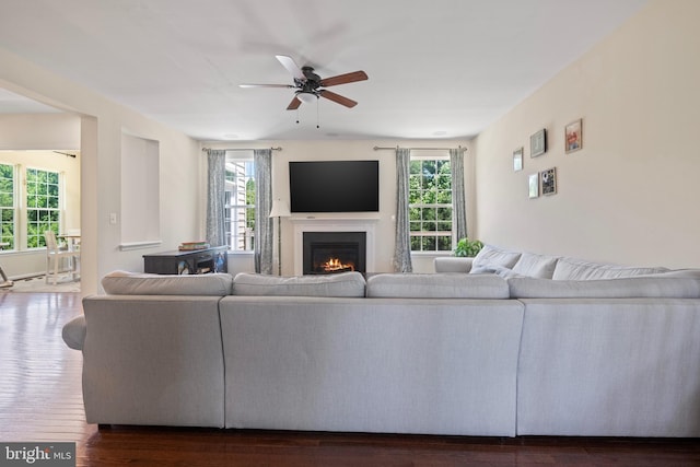 living room featuring ceiling fan and dark hardwood / wood-style flooring