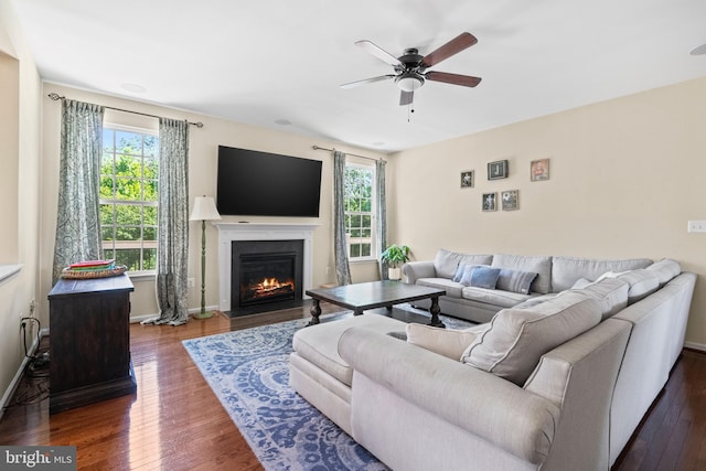 living room featuring plenty of natural light, dark wood-type flooring, and ceiling fan