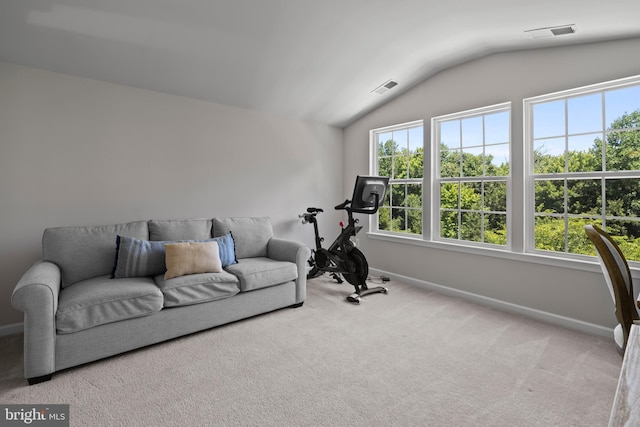 workout room featuring light carpet and lofted ceiling