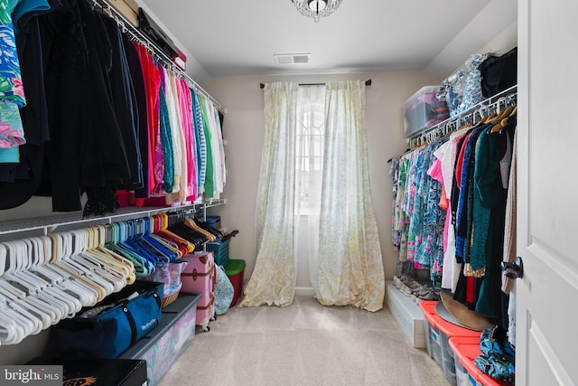 spacious closet with carpet floors