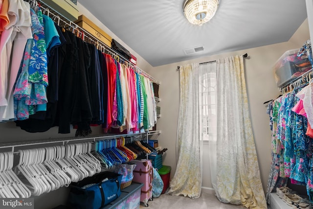 spacious closet with carpet floors