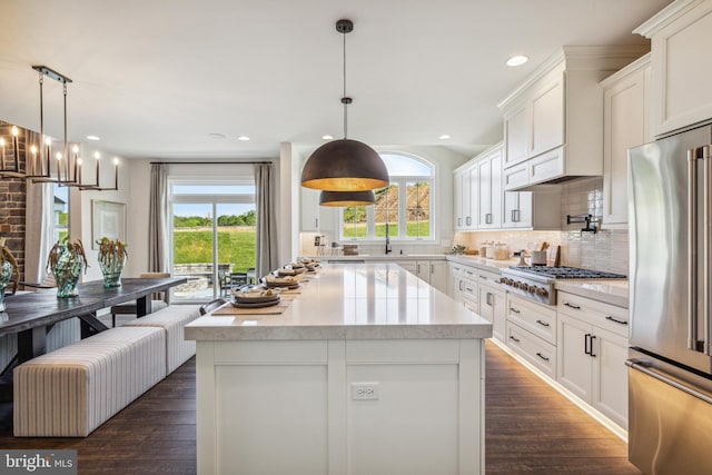 kitchen with dark hardwood / wood-style floors, white cabinetry, stainless steel appliances, and a wealth of natural light