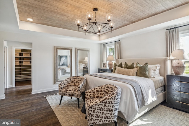 bedroom featuring multiple windows, a spacious closet, a closet, and dark wood-type flooring