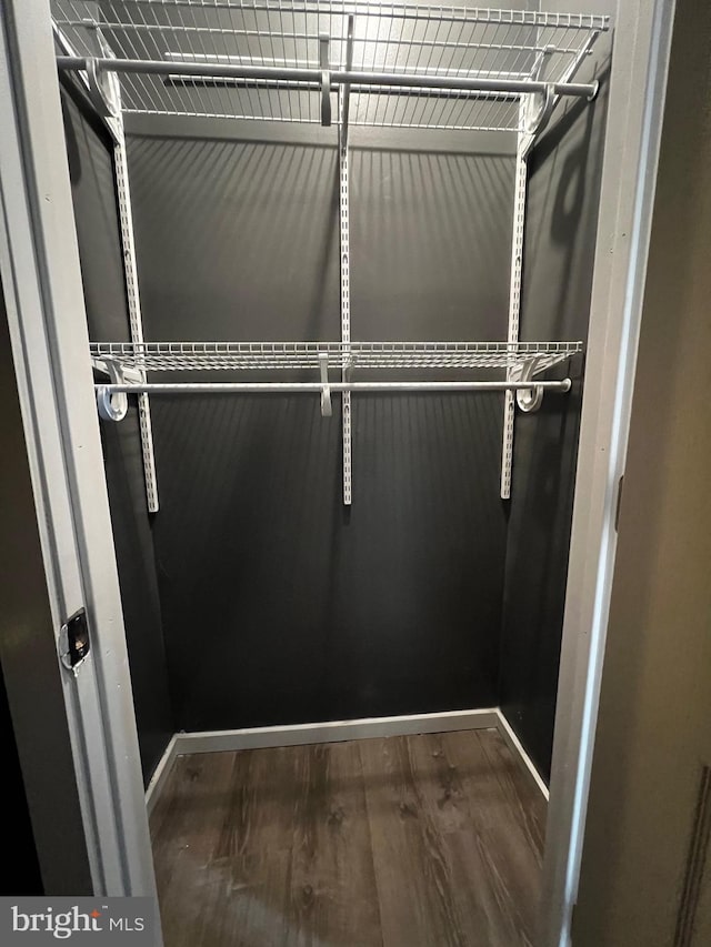 spacious closet with hardwood / wood-style floors