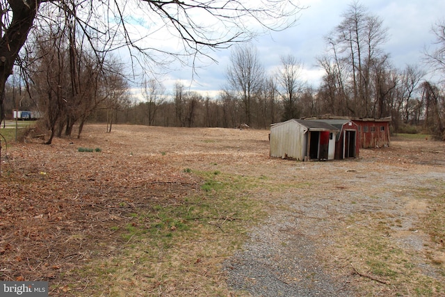 view of yard featuring a storage shed