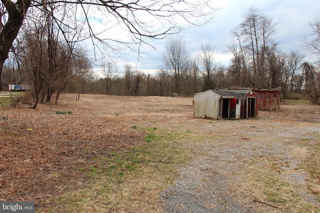 view of yard with a storage shed