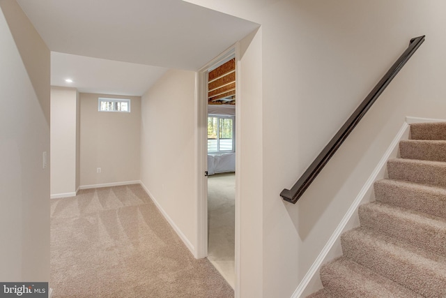 stairway featuring carpet