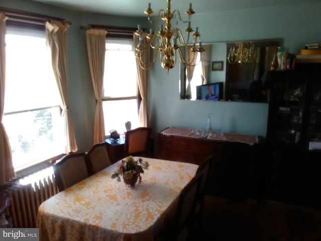 dining room with a chandelier, radiator, and a healthy amount of sunlight