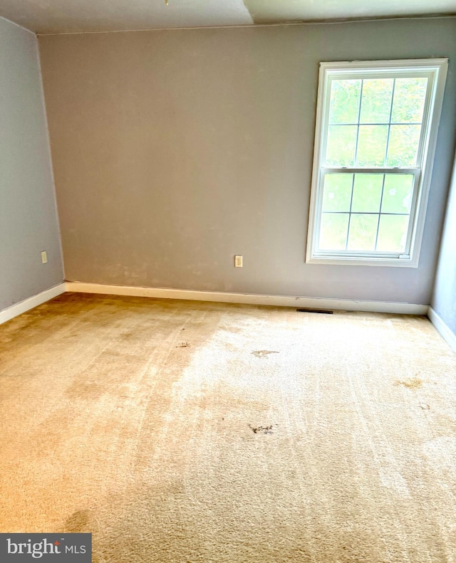 spare room with carpet flooring