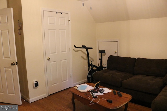 living room with hardwood / wood-style flooring and lofted ceiling