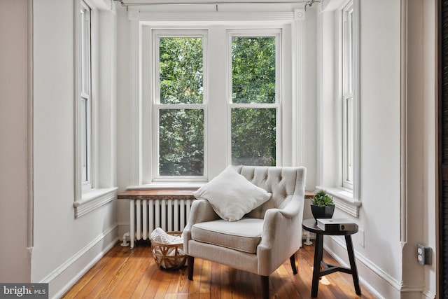 sitting room with wood-type flooring and radiator