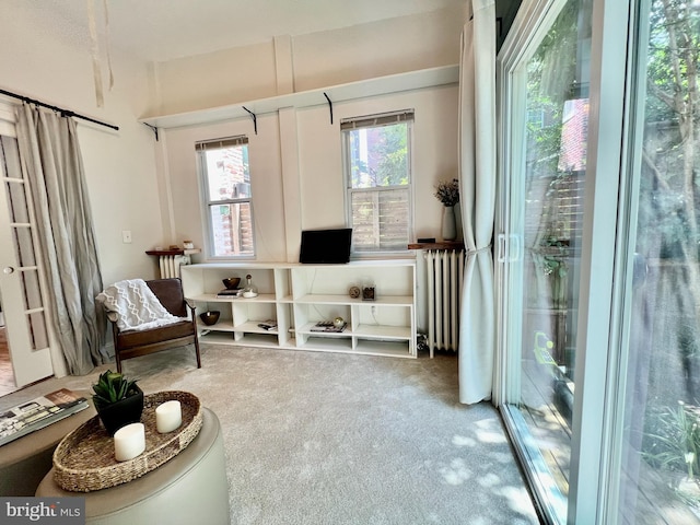 sitting room with radiator and carpet floors