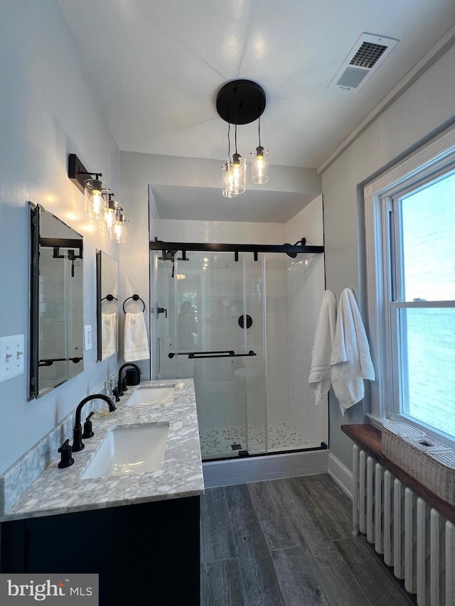 bathroom with a wealth of natural light, vanity, a shower with door, and radiator