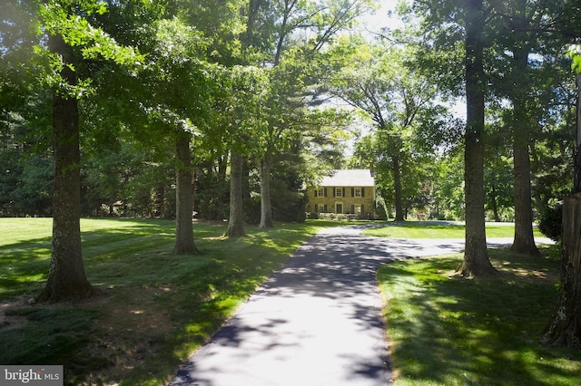 view of community featuring a lawn