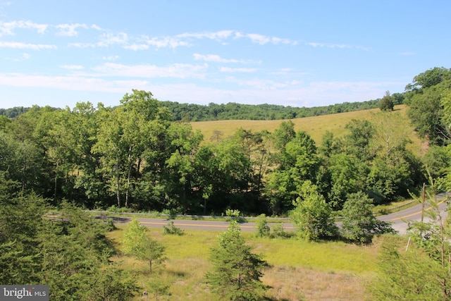 Listing photo 3 for Brush Creek Rd, Cross Junction VA 22625