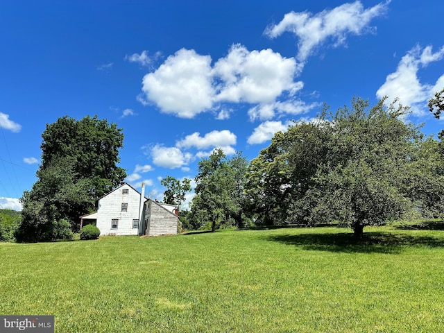 view of yard