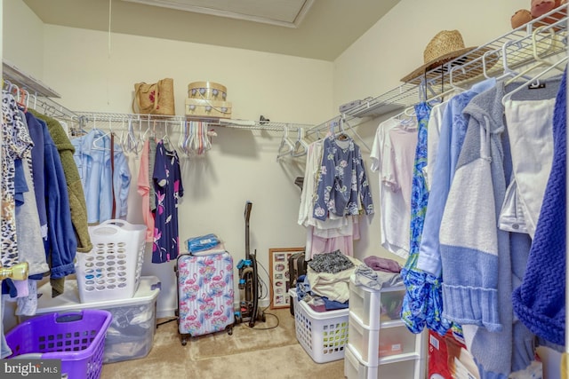 spacious closet with carpet