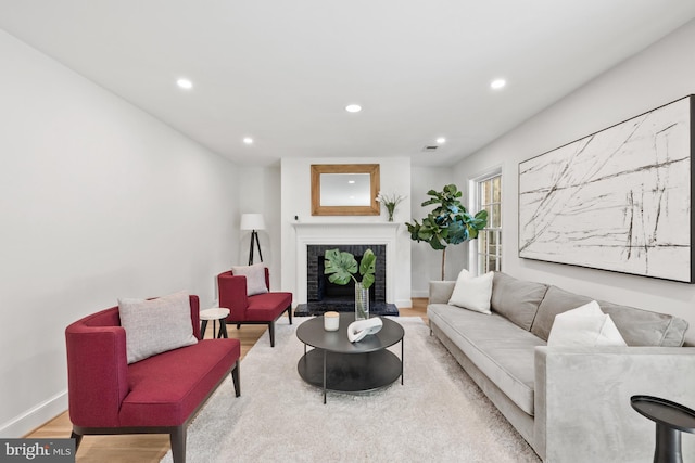 living room with wood-type flooring