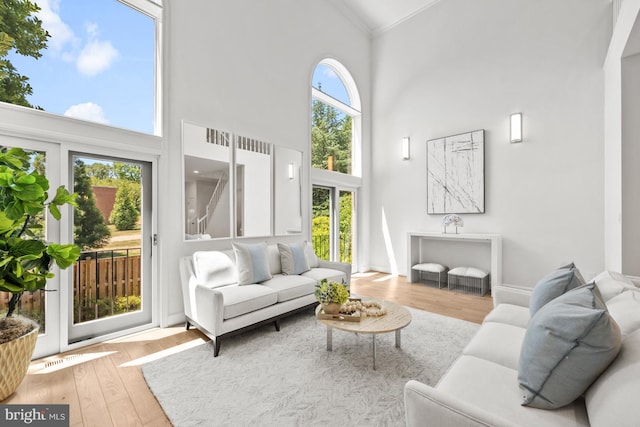 living room with light hardwood / wood-style floors, a towering ceiling, and ornamental molding