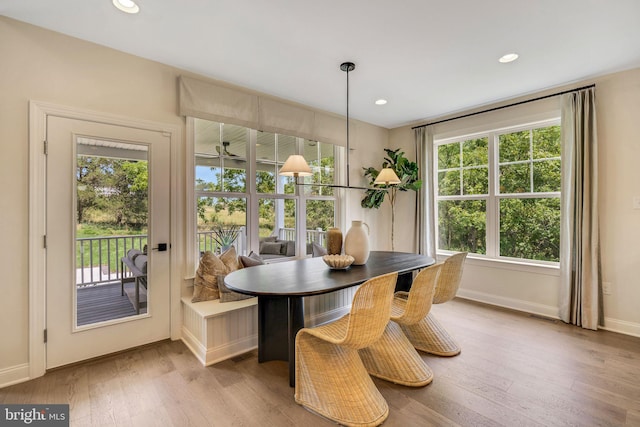 dining area featuring light wood-type flooring, ceiling fan, and a healthy amount of sunlight