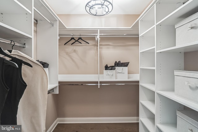 view of walk in closet