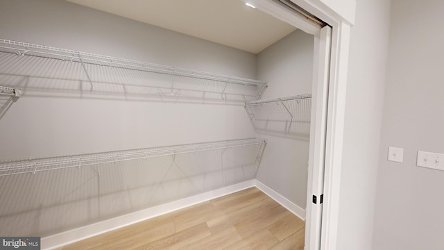 spacious closet featuring hardwood / wood-style floors