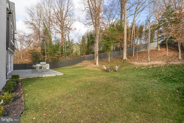 view of yard featuring a patio